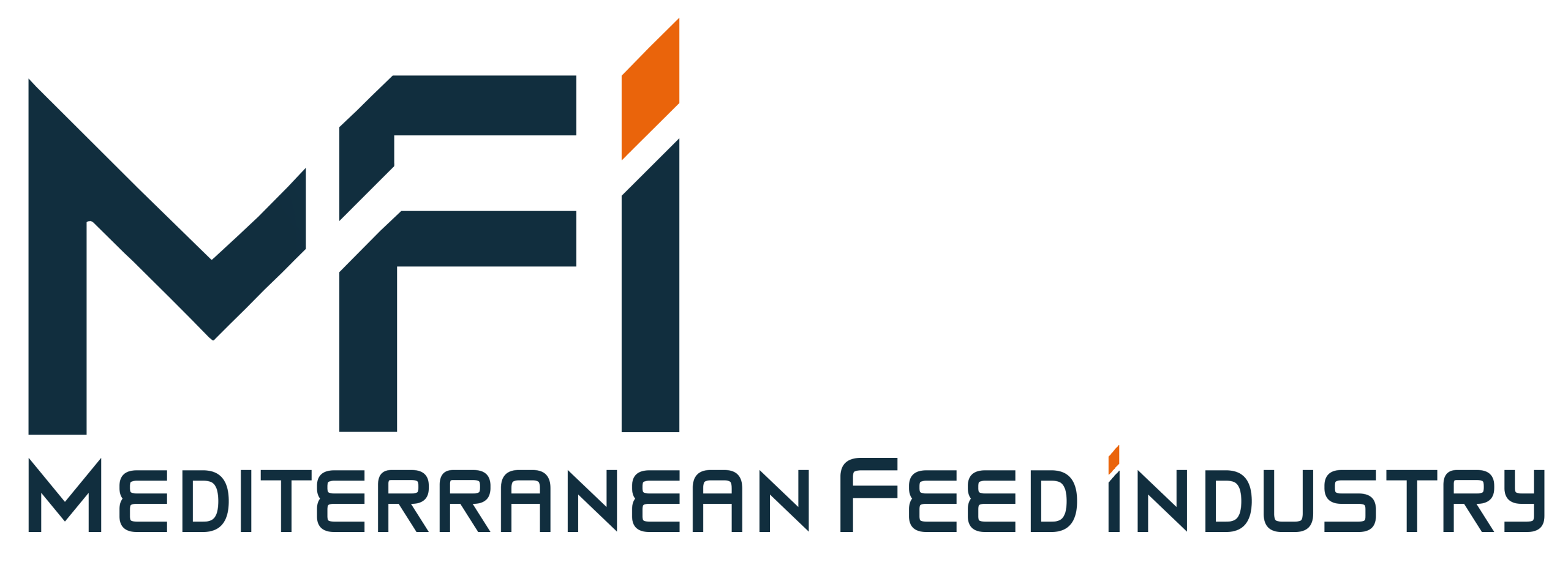 LOGO_MFI